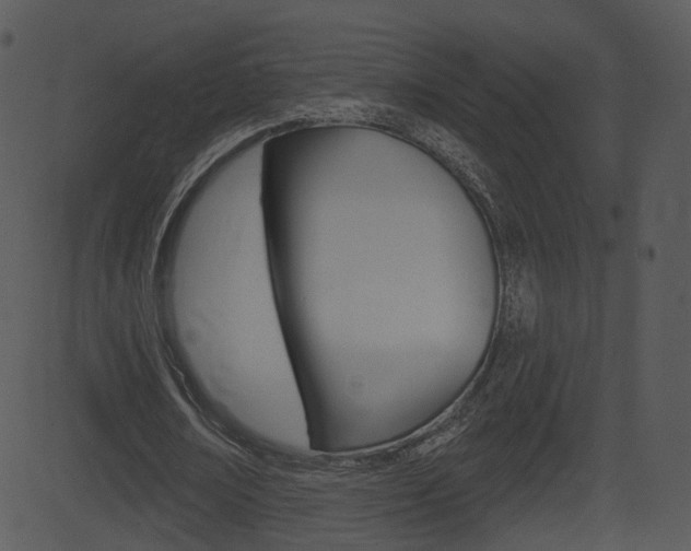 X0000081580674200701151001
