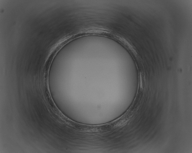 X0000081580675200701151001