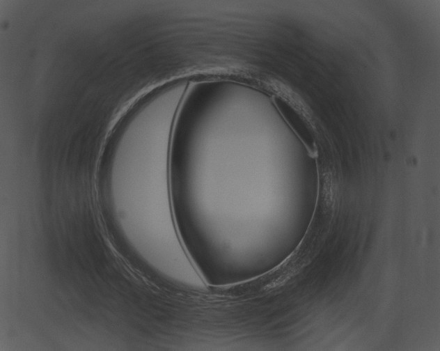 X0000081580676200701151001