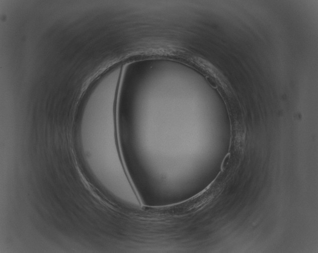 X0000081580677200701151001