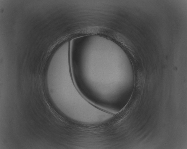 X0000081580681200701151001