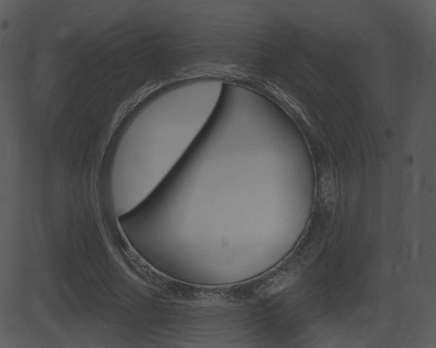 X0000081580682200701151001