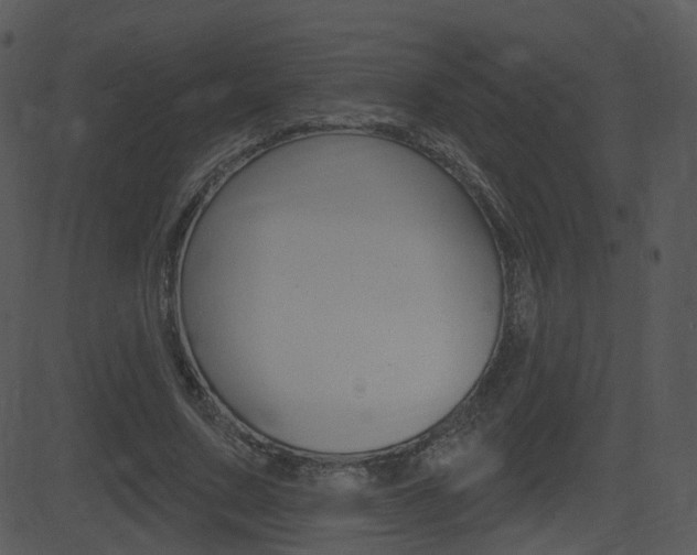 X0000081580683200701151001