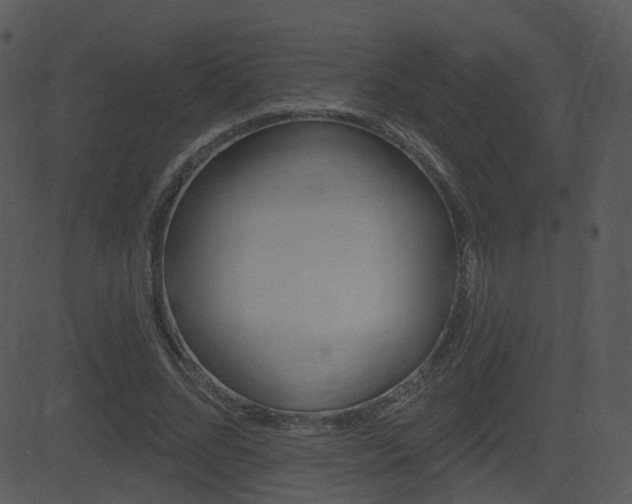 X0000081580684200701151001