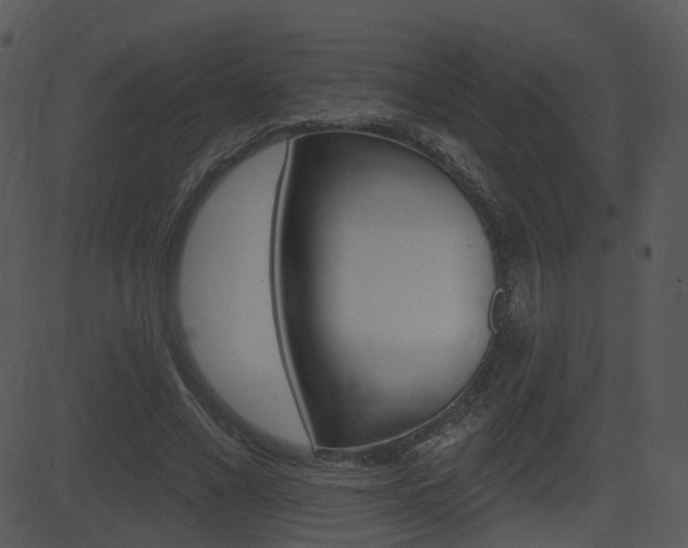 X0000081580685200701151001