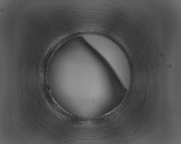 X0000081580688200701151001