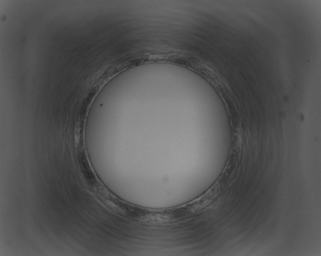 X0000081580691200701151001
