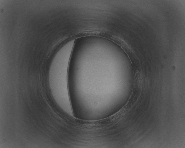 X0000081580692200701151001