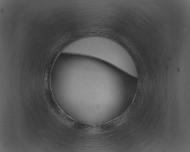 X0000081580696200701151001