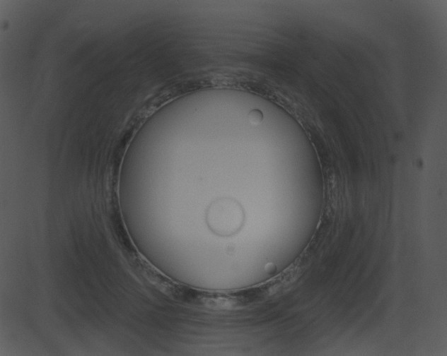 X0000081580698200701151001