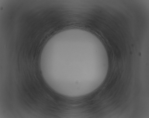 X0000081580701200701151001