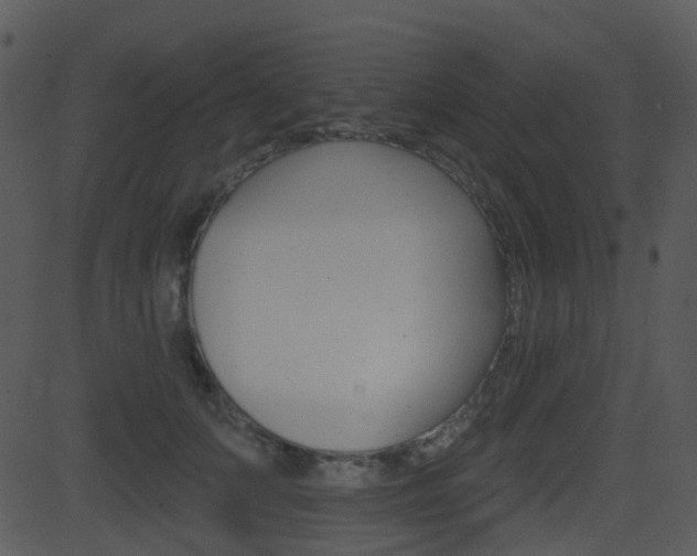 X0000081580703200701151001