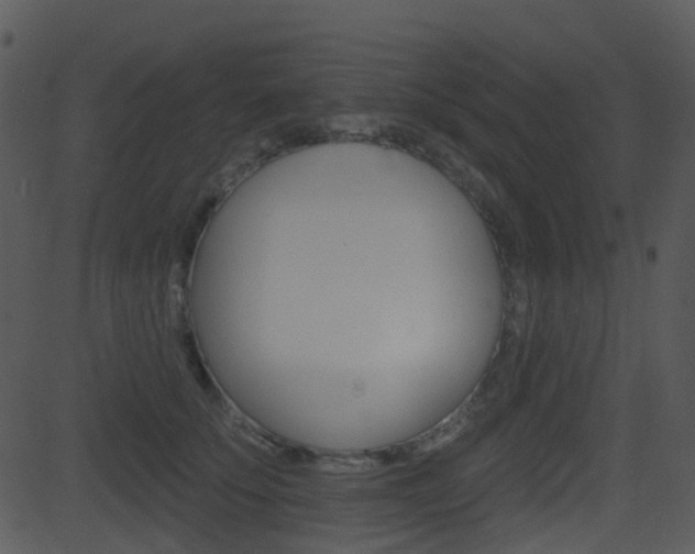X0000081580707200701151001