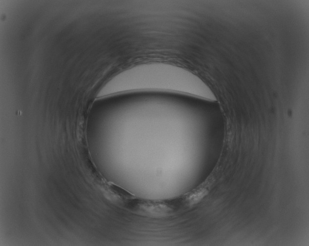 X0000081580712200701151001