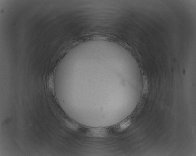 X0000081580713200701151001
