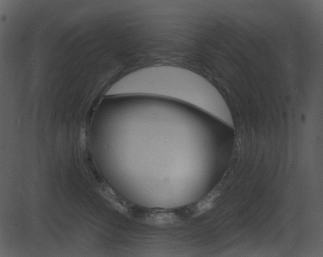 X0000081580716200701151001