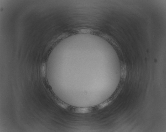 X0000081580717200701151000