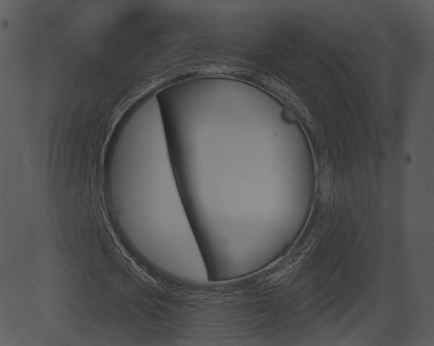 X0000081580721200701151000