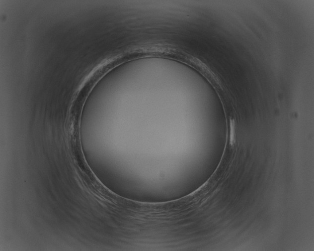 X0000081580723200701151000