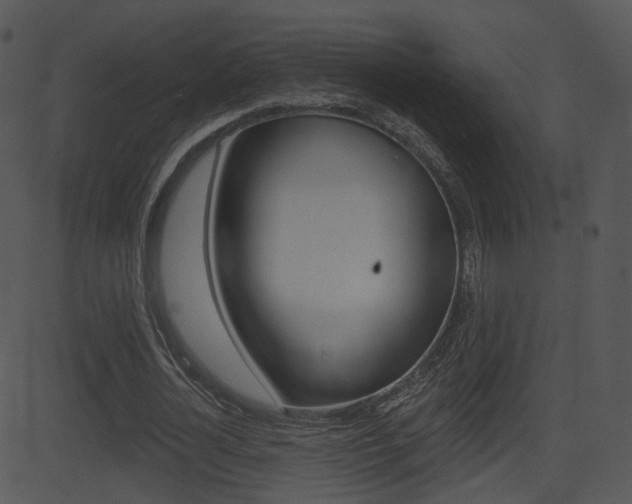 X0000081580724200701151000