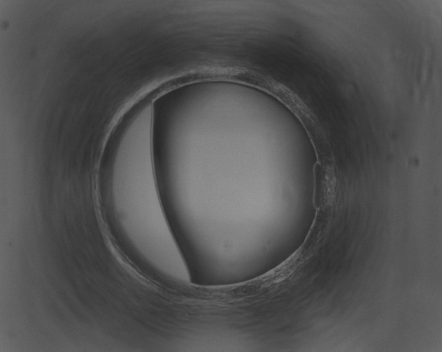 X0000081580726200701151000