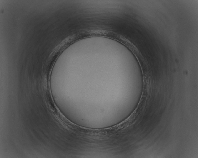 X0000081580729200701151000