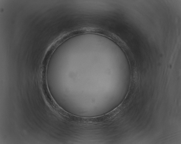 X0000081580730200701151000
