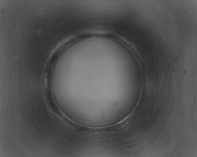 X0000081580731200701151000