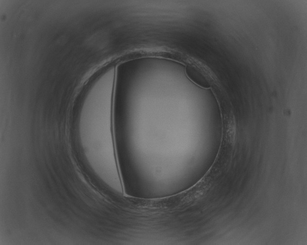 X0000081580732200701151000