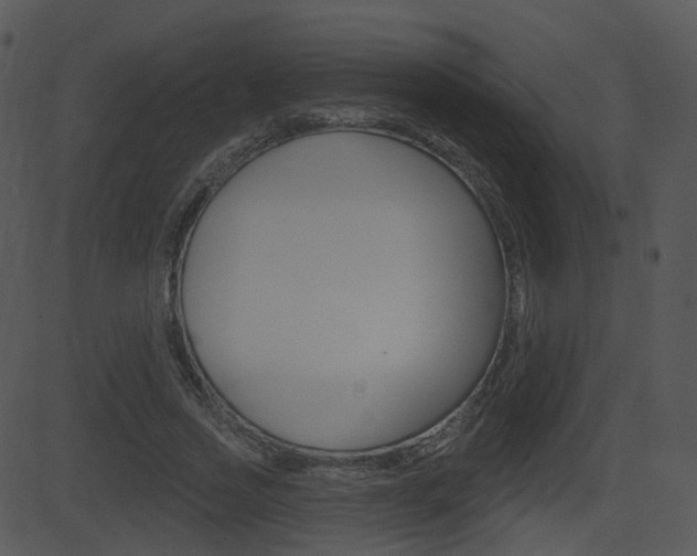 X0000081580733200701151000