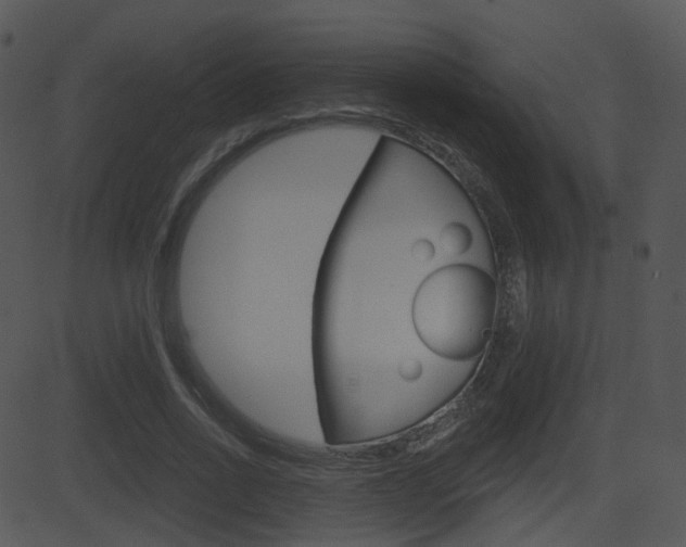 X0000081580734200701151000