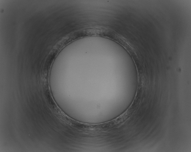 X0000081580737200701151000