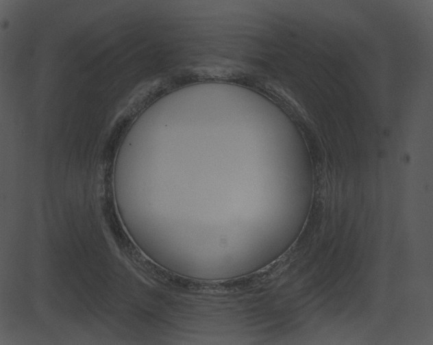 X0000081580738200701151000