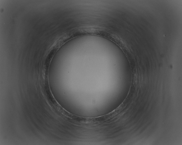 X0000081580739200701151000