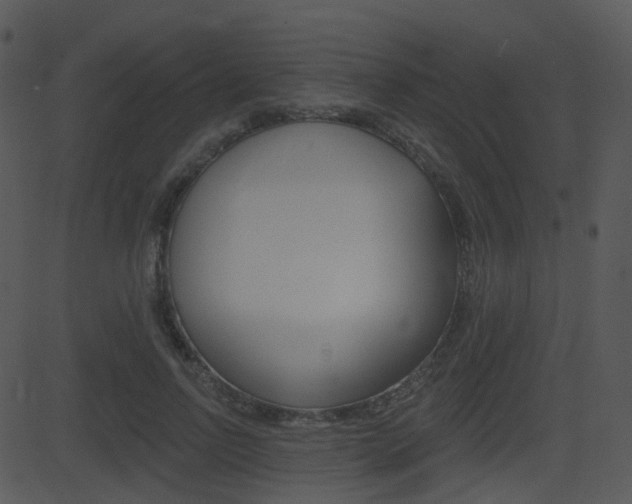 X0000081580742200701151000