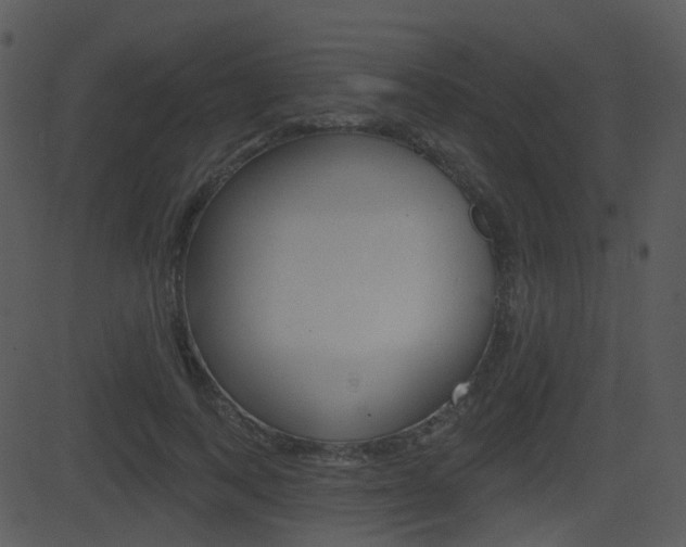 X0000081580743200701151000