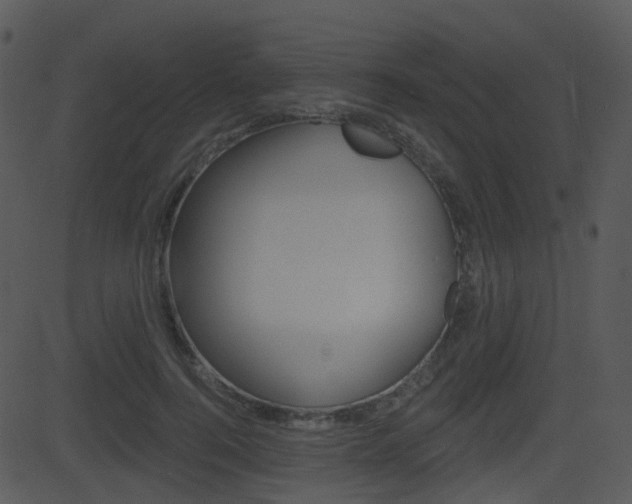 X0000081580744200701151000