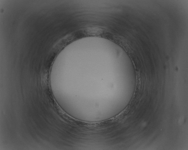 X0000081580745200701151000