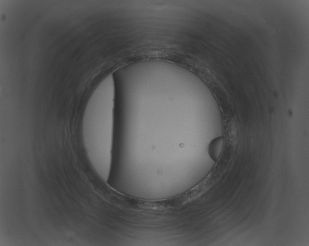 X0000081580746200701151000