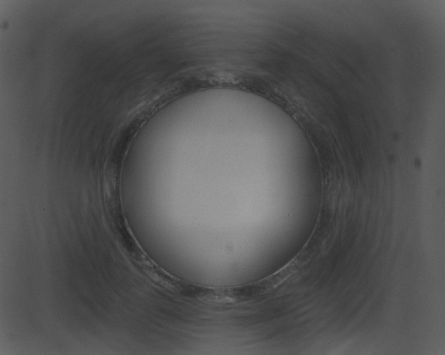 X0000081580747200701151000