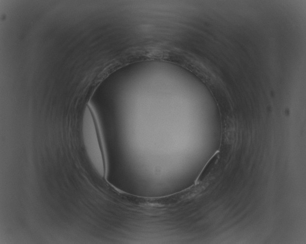 X0000081580748200701151000