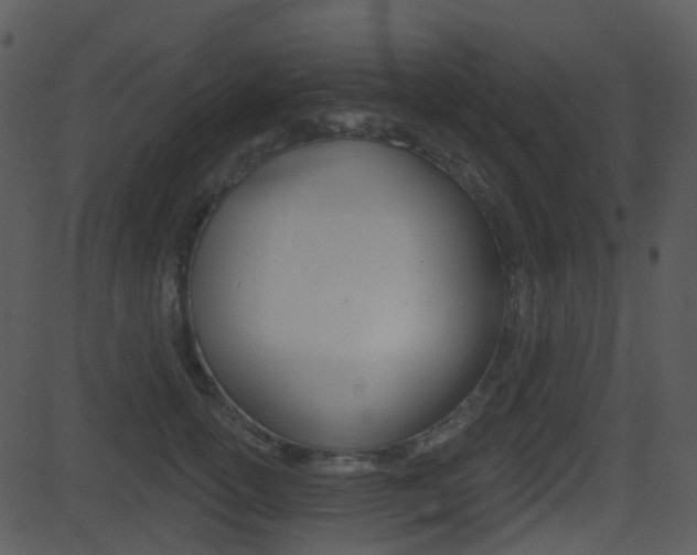 X0000081580754200701151000