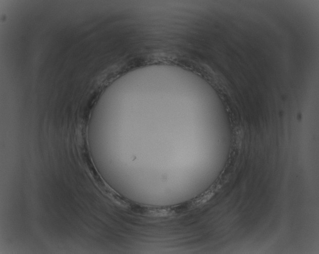 X0000081580757200701151000