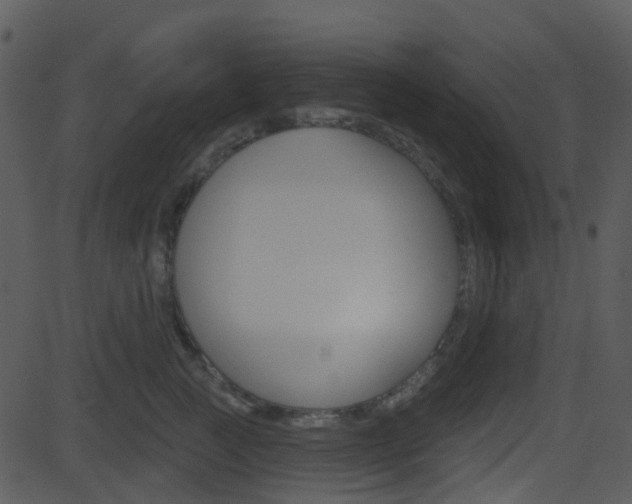 X0000081580761200701151000