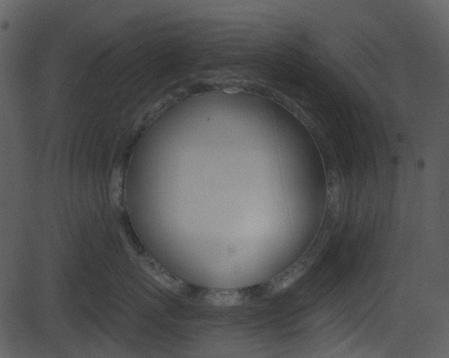 X0000081580767200701151000