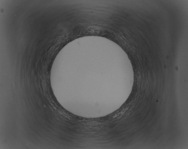 X0000081580769200701151000