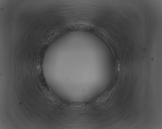 X0000081580771200701151000