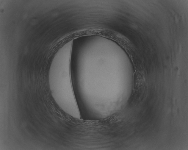 X0000081580773200701151000