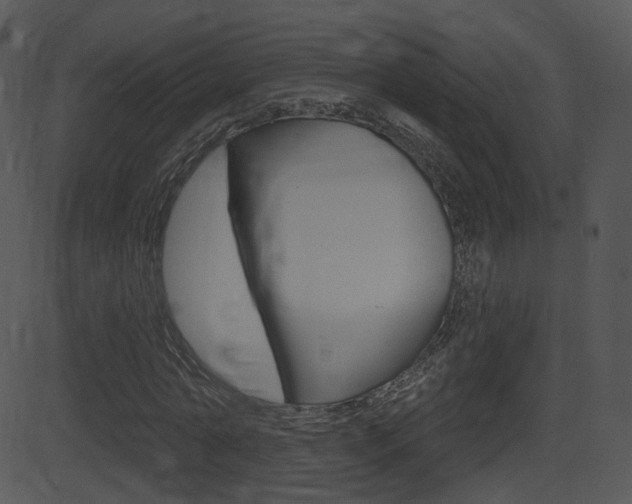 X0000081580774200701151000