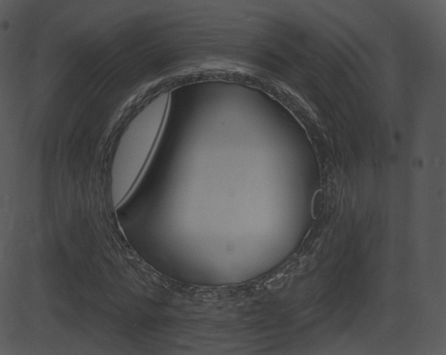 X0000081580776200701151000